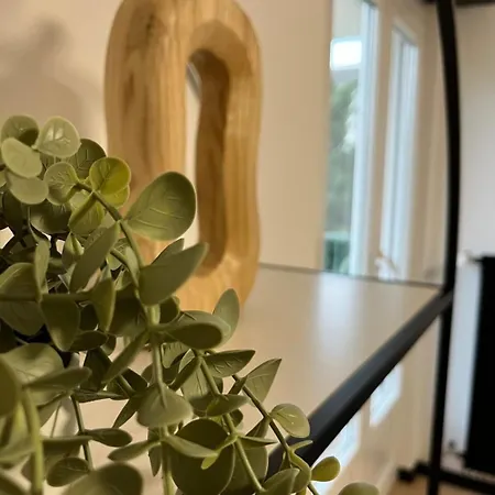 Apartment Elegant & Peaceful - Private Parking Mulhouse