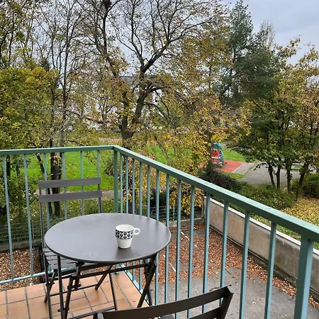 Elegant & Peaceful - Private Parking Mulhouse